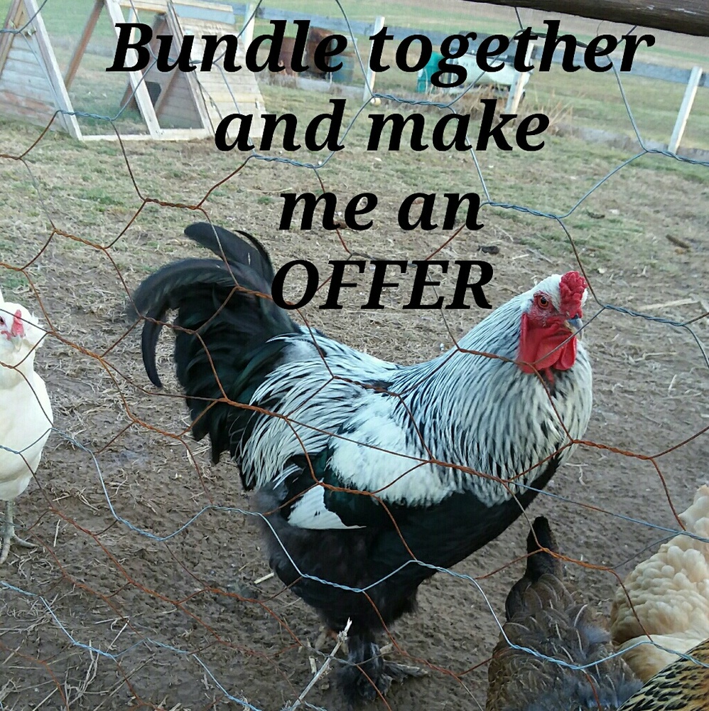 Bundle together and make me an offer!